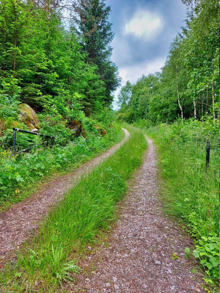 Vandring i felleskap